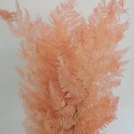 FETO DO MONTE 50/70CM 10UNID COR:SALMAO