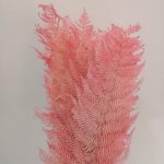 FETO DO MONTE 50/70CM 10UNID COR:ROSA