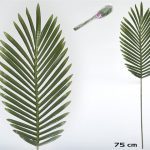 ARTIFICIAL- PE FOLHA ARECA-75 CM