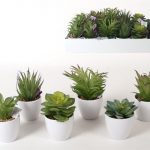 VASO PLASTICO C/SUCULENTA 9X19CM