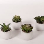 VASO CERAMICA C/SUCULENTA 11CM