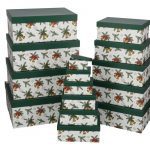 CONJ.15 CAIXAS GRANDE-49,5X39,5X20