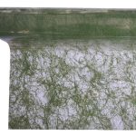 ROLO CELOFANE 70CMX50MTS SIZO: VERDE MUS.