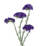 ARITIFICIAL- STATIS 64CM COR:ROXO