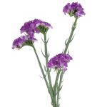 ARITIFICIAL- STATIS 64CM COR:LILAS