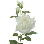 ROSA TOQUE NATURAL 75 CMS