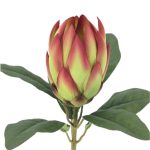 ARTIFICIAL-  PROTEA