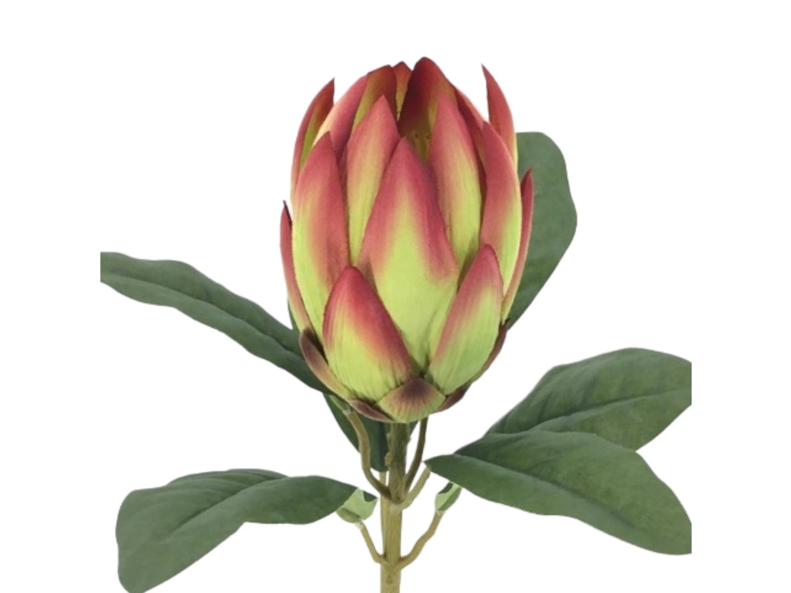 2505-07. ARTIFICIAL- PROTEA VERMELHO - Image 1