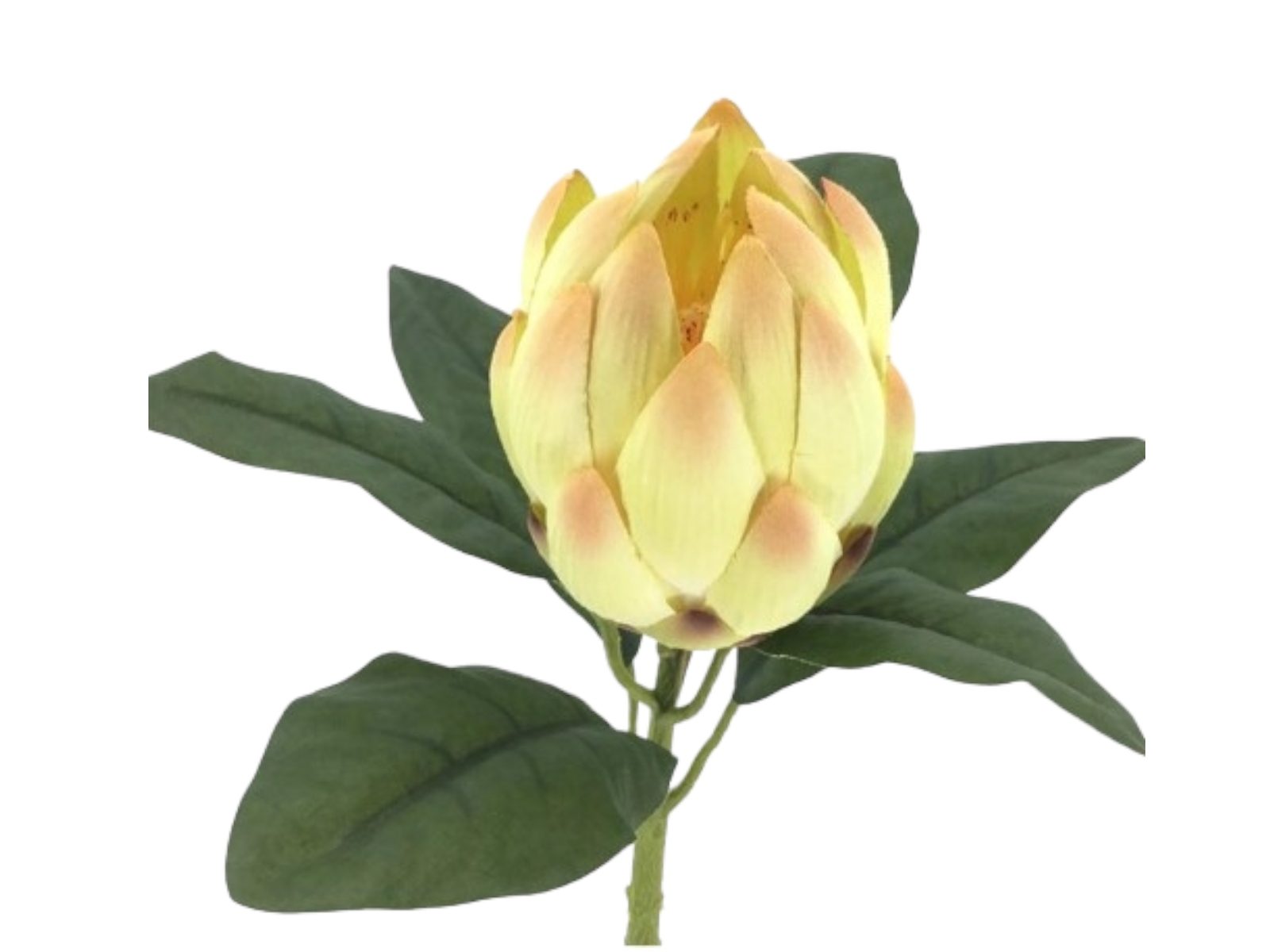 2505-09. ARTIFICIAL- PROTEA VERDE - Image 1