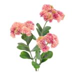 ARTIFICIAL- SEDUM