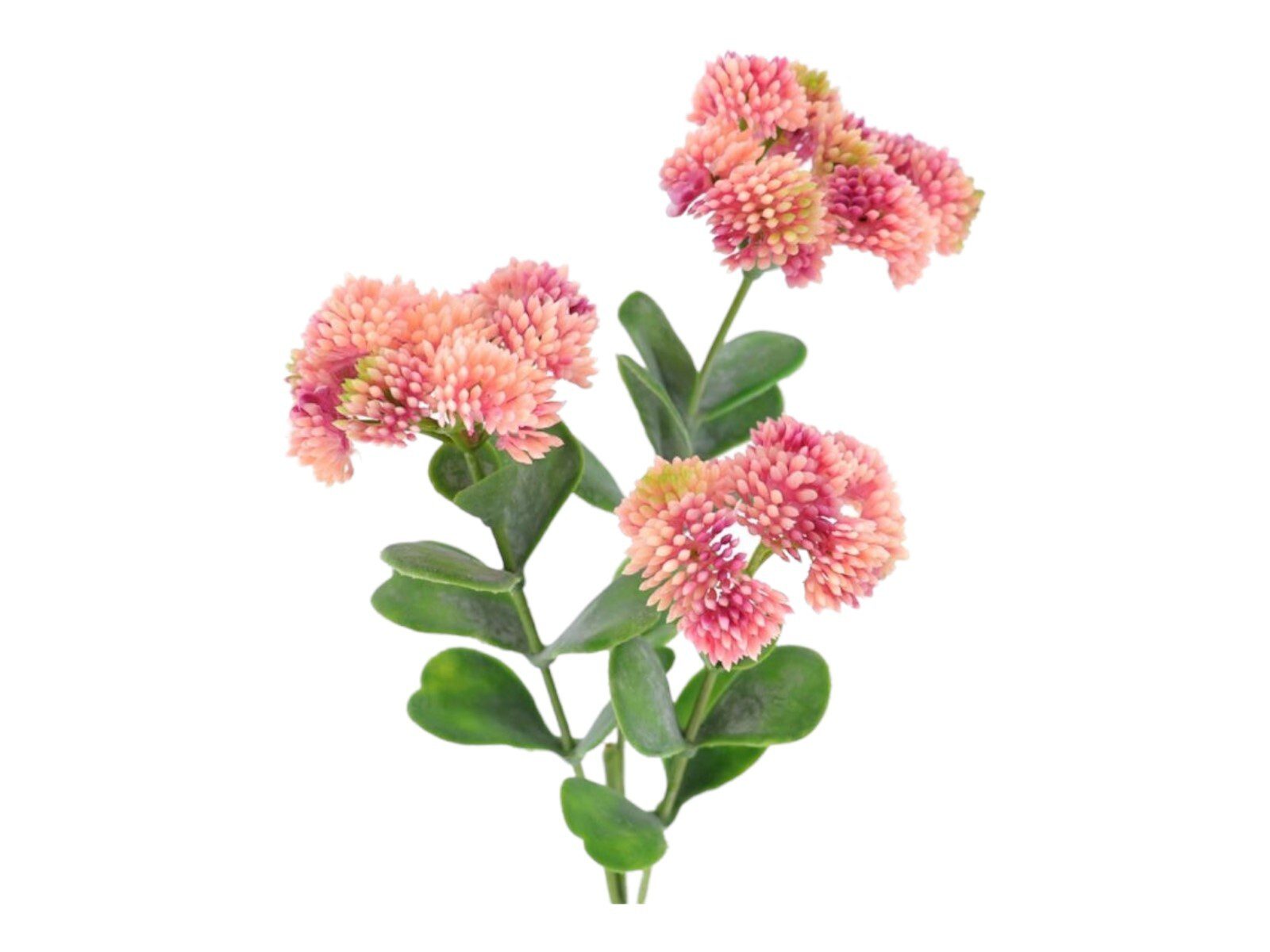 2632-12 ARTIFICIAL- SEDUM ROSA - Image 1