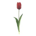 ARTIFICIAL- TULIPA