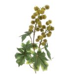 ARTIFICIAL- PE RICINUS