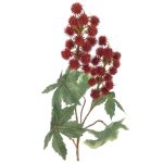 ARTIFICIAL- PE RICINUS