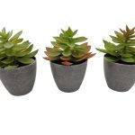 VASO PLANTA FOLHA REDONDA 16CM ALT 3 COR