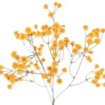 ARTIFICIAL- GYPSO VINTAGE 62CM