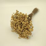 MOLHO BOTAO DE AGUA 45/55CM 250GR NATURAL