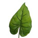ARTIFICIAL- FOLHA JARRO 44CM