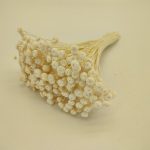 AMARELINHO 30CM/80GR APROX.