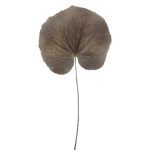 ARTIFICIAL-FOLHA GALAX DIA14CM CASTANHA