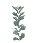 ARTIFICIAL- PE PULMONARIA COR:VERDE