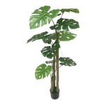 ARTIFICIAL- COSTELA-DE-ADAO 1.50MTS