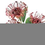 ARTIFICIAL- LEUCUSOERMUM X3