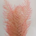 FETO DO MONTE 50/70CM 10UNID COR:ROSA