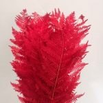 FETO DO MONTE 50/70CM 10UNID COR:VERMELHO