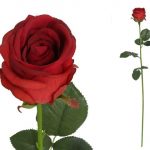 HASTE ROSA REAL TOUCH 89CM