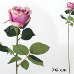 HASTE CAPULLO GIANT-76