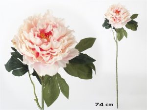 HASTE PEONIA 74CM