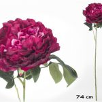 HASTE PEONIA 74CM