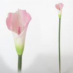 HASTE JARRO LATEX-72