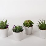 VASO CERAMICA C/SUCULENTA 18CM