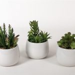 VASO CERAMICA C/SUCULENTA 12X19CM