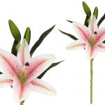 LILIUM TOQUE REAL 45CM