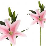 LILIUM TOQUE REAL 45CM