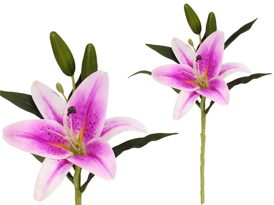 8430540982276 LILIUM TOQUE REAL 45CM COR:LILAS - Image 1