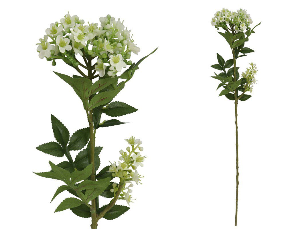 8430540982436 HASTE MYOSOTIS 60 CM (BRANCO) - Image 1