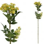 HASTE MYOSOTIS 60 CM