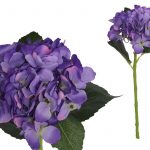 HASTE HORTENSIA 48CM