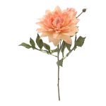 ARTIFICIAL- PE DALIA