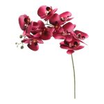 ARTIFICIAL- PHALENOPSIS 1.00MT X9