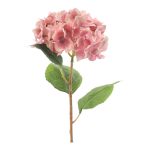 ARTIFICIAL- PE HORTENSIA