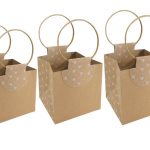 SACO EVIDENCE EMB. C/5UNID