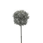 HASTE ALLIUM 58CM