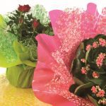 NAPERON FLORES DIA.50CM 50UNID 25+25