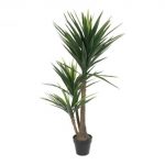 PLANTA EVA PP 80X150 PALMEIRA