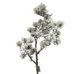 HASTE PINHEIRO NEVADO